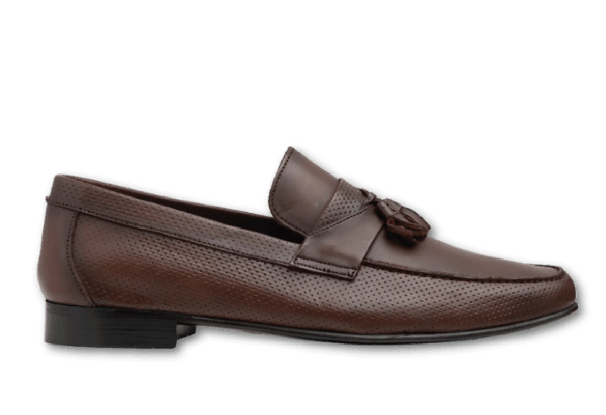 CAVALLO 4718 BRA - Image 3